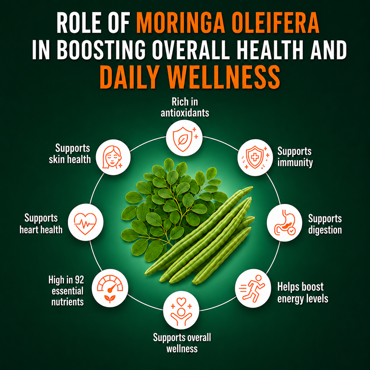 Moringa Oleifera Herbal Tablets – Daily Wellness Support